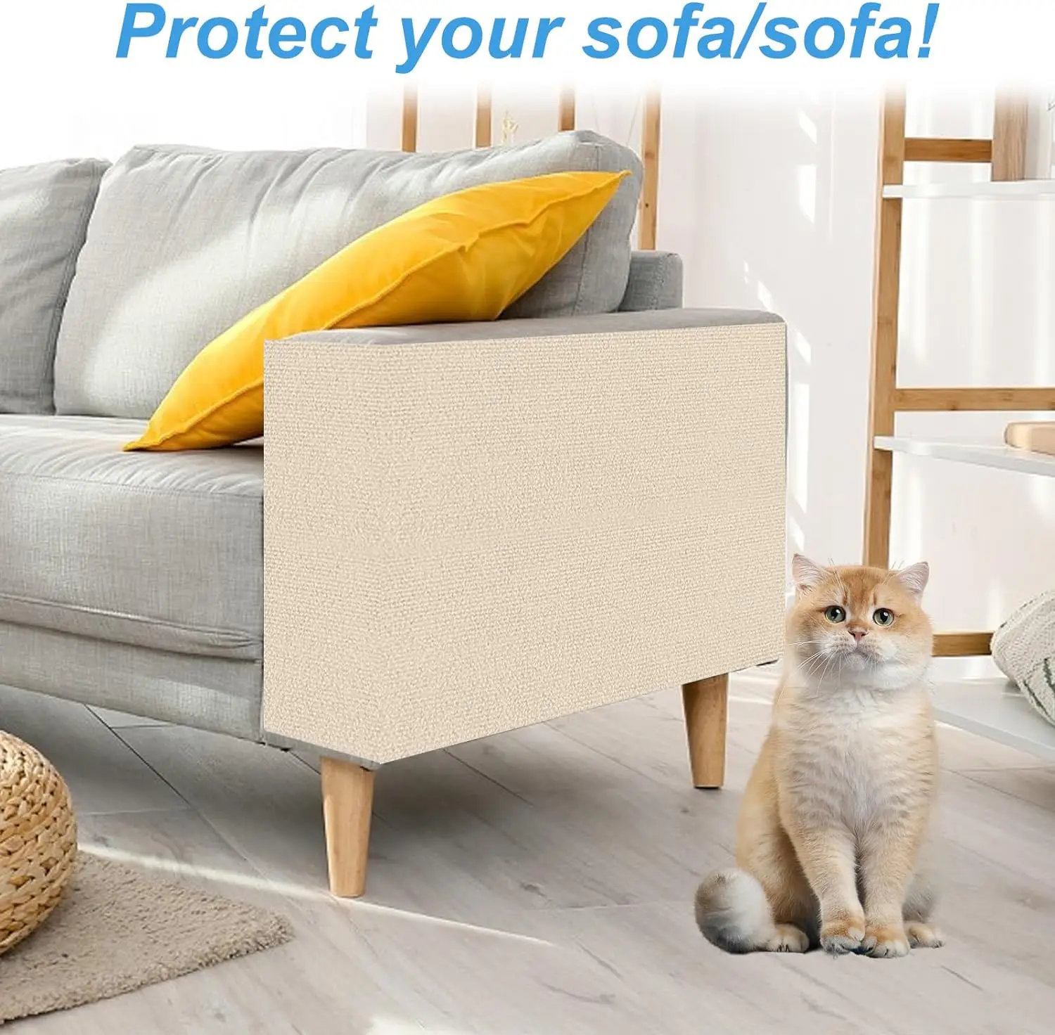 Cat Scratching Mat Cat Carpet with Self-Adhesive Trimmable Cat Scratching Post Carpet, Cat Scratch Furniture Protector BestEbuys - The Best Online Deals https://bestebuys.com/shop/cat-scratching-mat-cat-carpet-with-self-adhesive-trimmable-cat-scratching-post-carpet-cat-scratch-furniture-protector-2/ Cat Scratching Mat Cat Carpet with Self-Adhesive Trimmable Cat Scratching Post Carpet, Cat Scratch Furniture Protector https://bestebuys.com/shop/cat-scratching-mat-cat-carpet-with-self-adhesive-trimmable-cat-scratching-post-carpet-cat-scratch-furniture-protector-2/ BestEbuys - The Best Online Deals