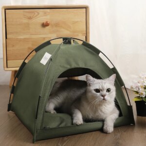 Pet Tent Bed Cats House Supplies Products Accessories Warm Cushions Furniture Sofa Basket Beds Winter Clamshell Kitten Tents Cat https://bestebuys.com/shop/pet-tent-bed-cats-house-supplies-products-accessories-warm-cushions-furniture-sofa-basket-beds-winter-clamshell-kitten-tents-cat/ BestEbuys - The Best Online Deals