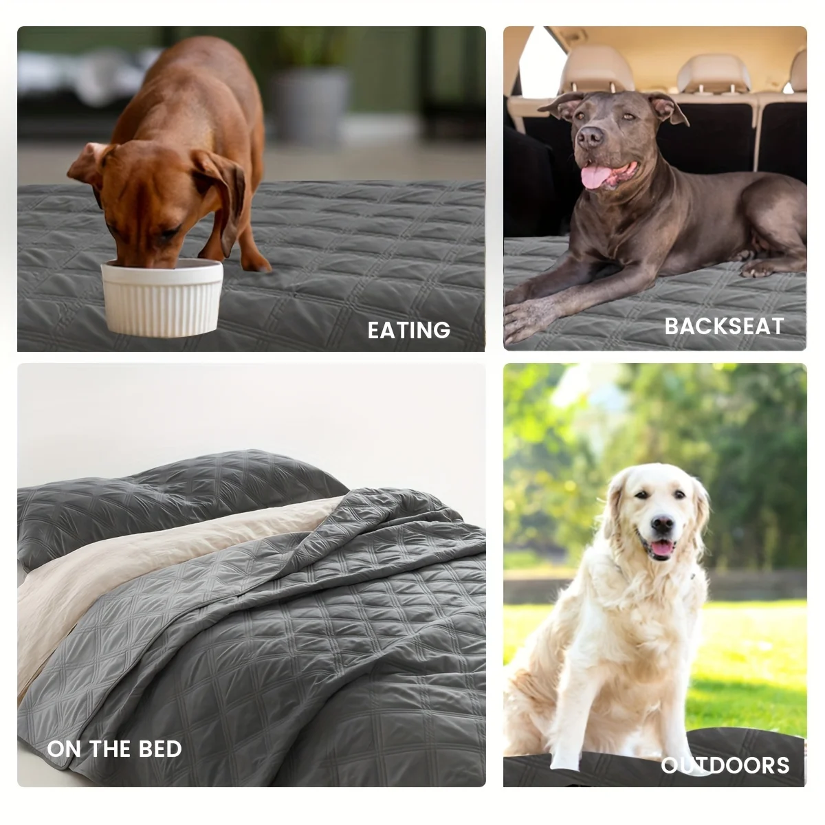 Waterproof & Reversible Dog Bed Cover Pet Blanket Sofa, Couch Cover Mattress Protector Furniture Protector for Dog, Pet, Cat BestEbuys - The Best Online Deals https://bestebuys.com/shop/waterproof-reversible-dog-bed-cover-pet-blanket-sofa-couch-cover-mattress-protector-furniture-protector-for-dog-pet-cat/ Waterproof & Reversible Dog Bed Cover Pet Blanket Sofa, Couch Cover Mattress Protector Furniture Protector for Dog, Pet, Cat https://bestebuys.com/shop/waterproof-reversible-dog-bed-cover-pet-blanket-sofa-couch-cover-mattress-protector-furniture-protector-for-dog-pet-cat/ BestEbuys - The Best Online Deals