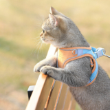 Hot New Clearance Deal! Cat Traction Rope Home Vest-Style Chest Harness Cute Anti-Stroke Cat Walking Rope $12.00