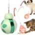 Hot New Clearance Deal! Dog Windproof Plastic Pet Glasses $11.60