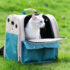 Hot New Clearance Deal! Pet Spray Comb Cat Cleaning Massage $13.34