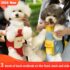 Hot New Clearance Deal! Cat uniform bag $22.21