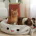 Hot New Clearance Deal! Multifunctional Cool Gel Summer Pet Ice Mat $28.65