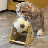 Hot New Clearance Deal! Vertical Wooden Grounder Cat Scratch Board Wear-resistant No Dandruff $20.21